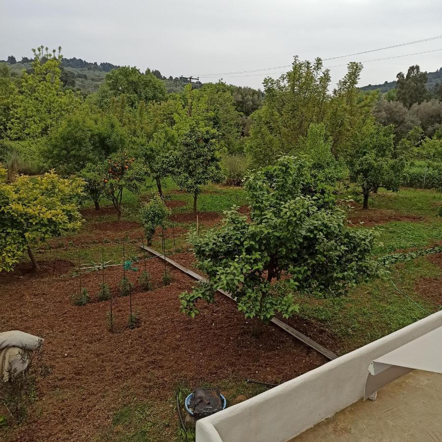 Εξοχική Κατοικία - Cottage Τίνα Líri Exterior photo