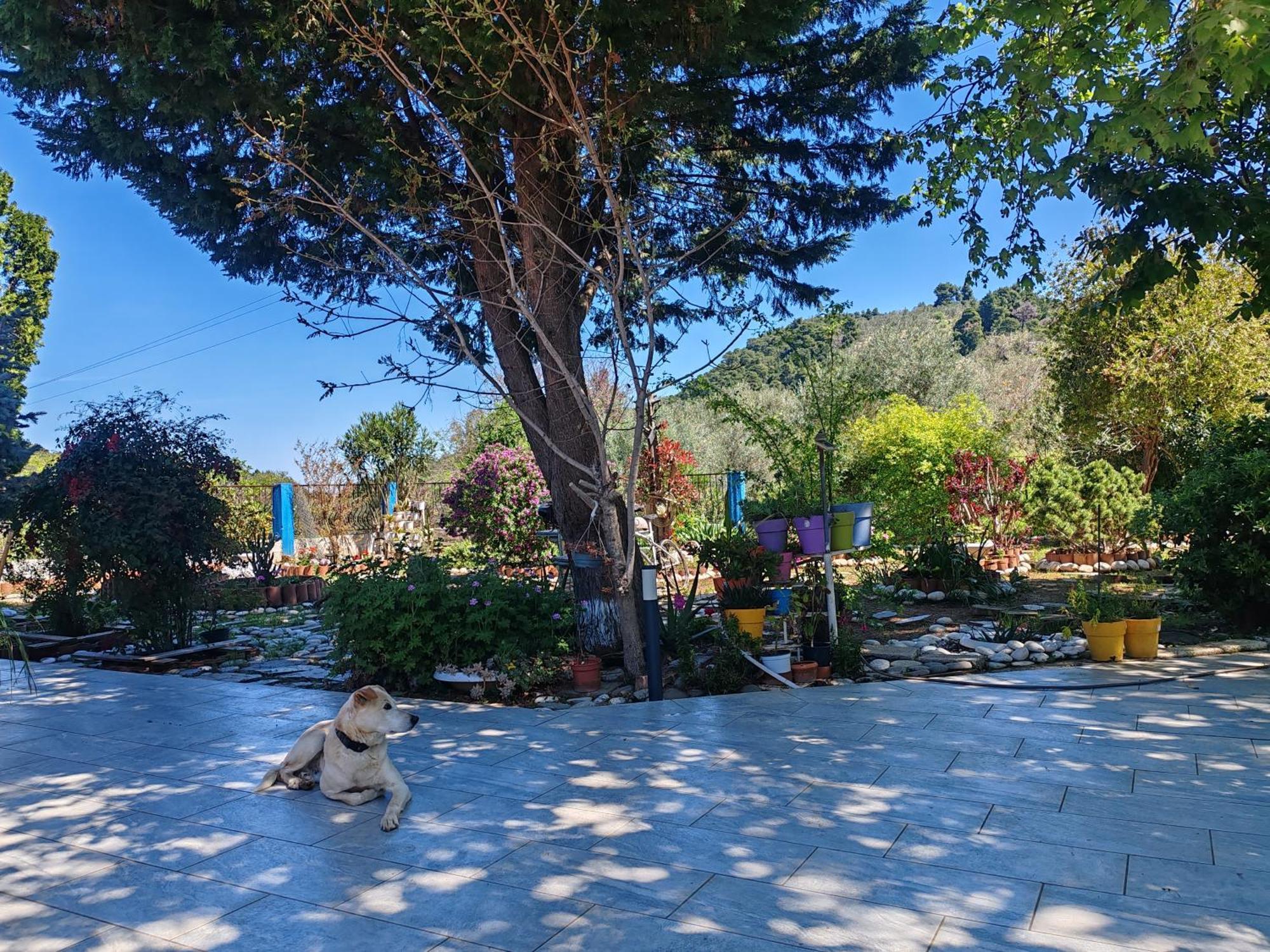 Εξοχική Κατοικία - Cottage Τίνα Líri Exterior photo